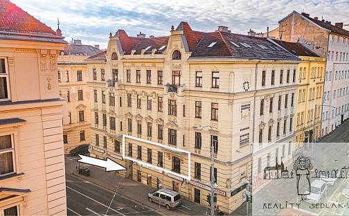 Prodej bytu 4+1 105 m², Úvoz, Brno