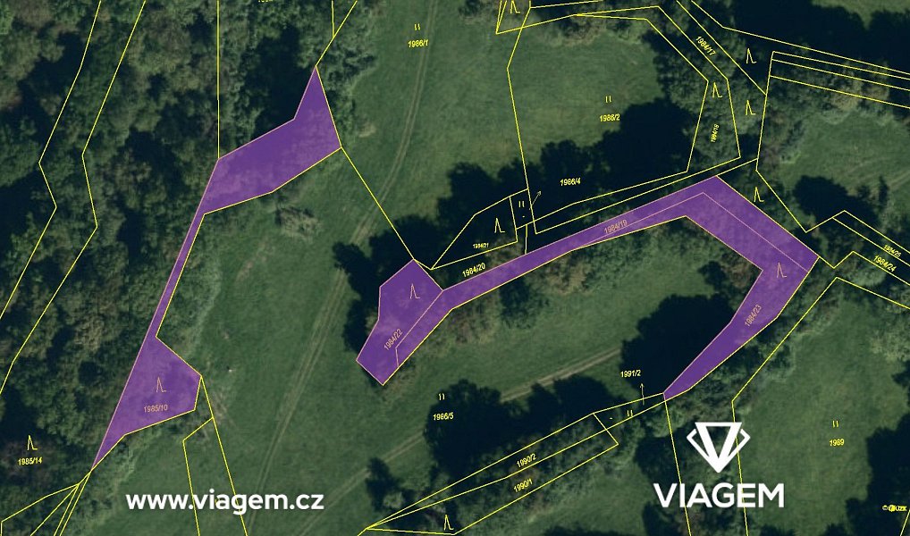 Prodej lesa 2 875 m², Suchdol nad Odrou – náhled fotky 4