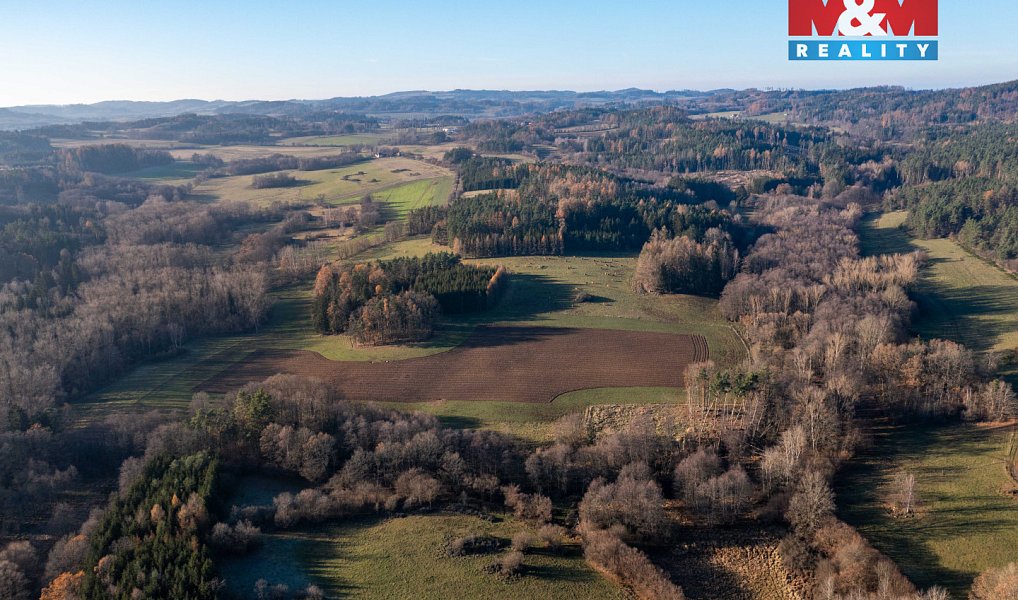 Prodej lesa 25 838 m², Nalžovské Hory – náhled fotky 5