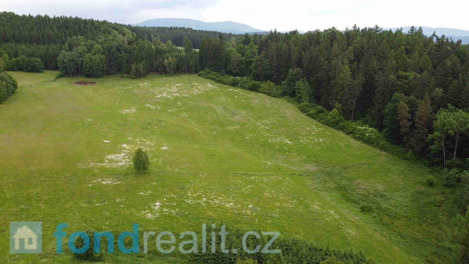 Prodej pole 6 699 m² – fotografie 3