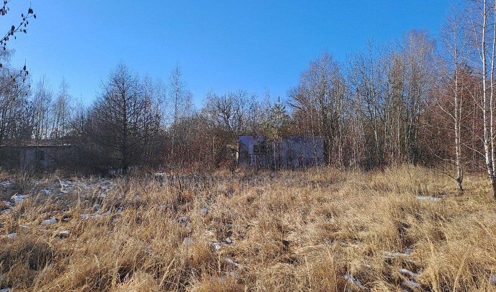 Prodej komerčního pozemku 15 899 m², Šafov – náhled fotky 4