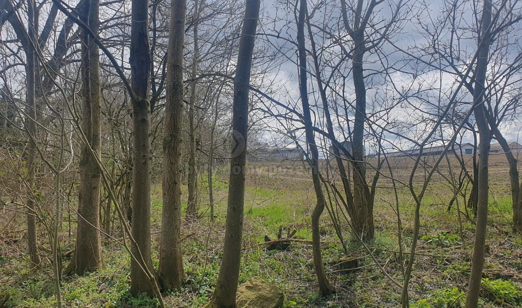 Prodej pole 1 818 m², Kozlovice – náhled fotky 3