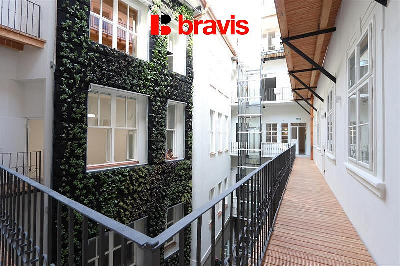 Pronájem kanceláře 25 m² — photo 3