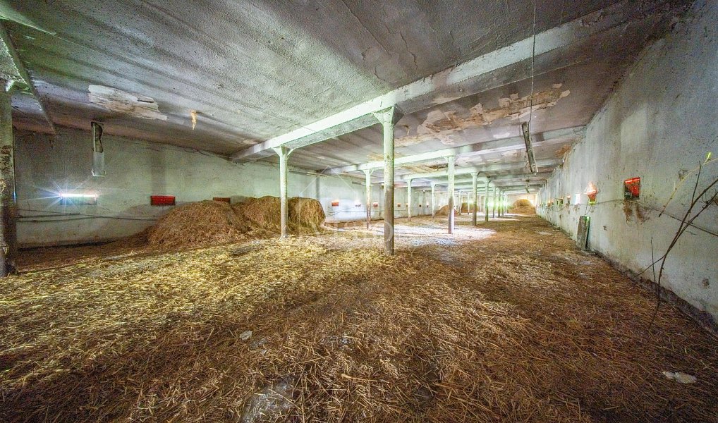 Prodej výrobních prostor 800 m², Radomyšl – náhled fotky 16