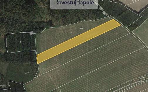 Prodej pole 15 952 m², Břasy - Vranovice, okres Rokycany