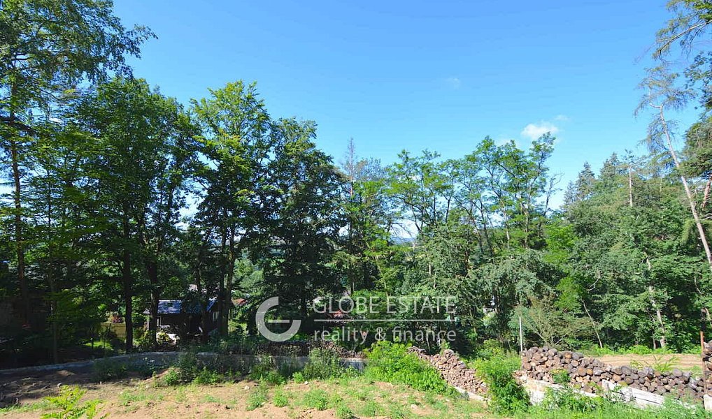 Prodej chaty/chalupy 20 m² s pozemkem 11 807 m², Řehenice – náhled fotky 10