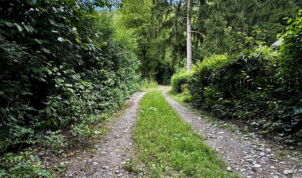 Prodej stavebního pozemku 820 m², Štěchovice – náhled fotky 8