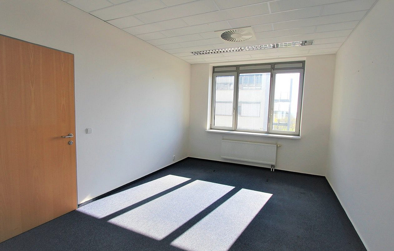 Pronájem obchodních prostor 251 m² – fotografie 4