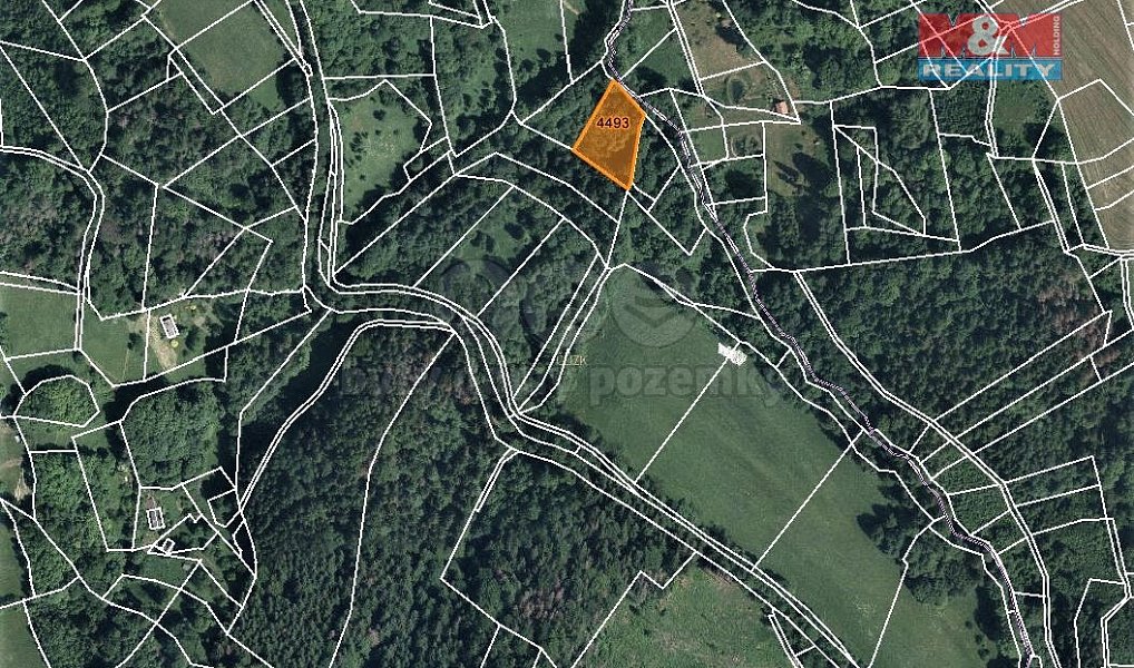 Prodej lesa 2 062 m², Koberovy – náhled fotky 3