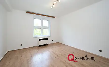 Pronájem bytu 1+1 47 m²