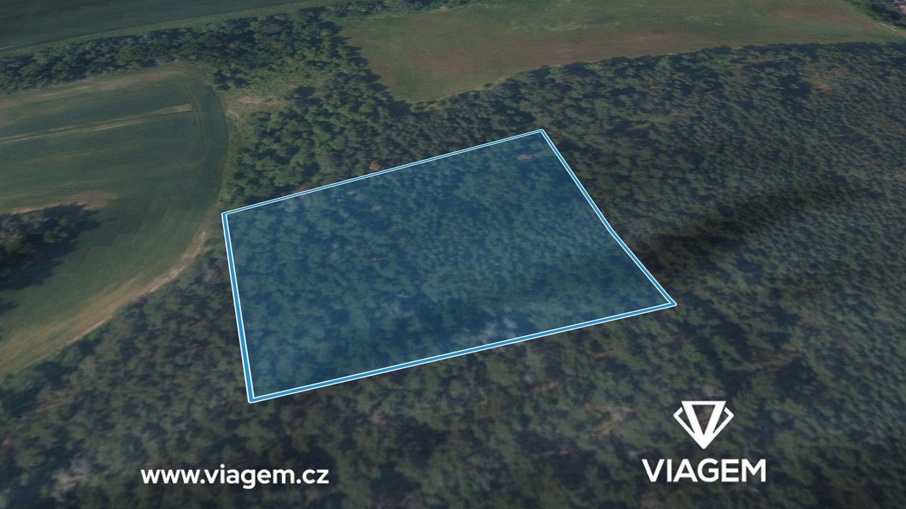Prodej lesa 2 102 m² – fotografie 2