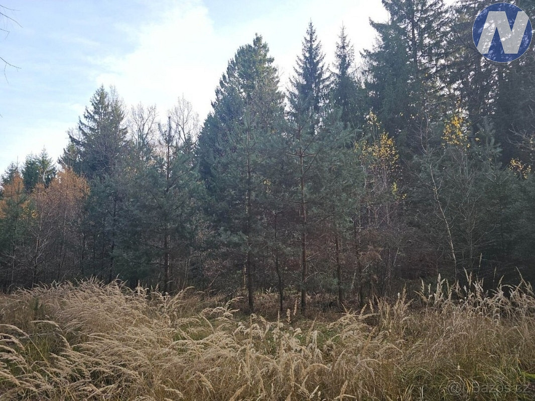 Prodej lesa 9 174 m² – fotografie 2