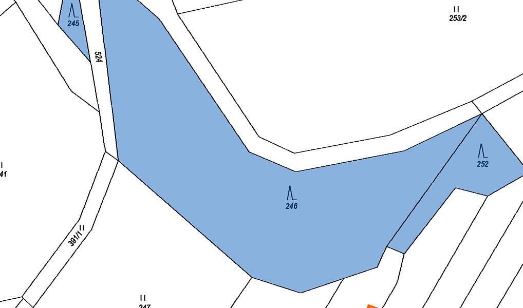 Prodej lesa 208 m², Trhový Štěpánov – náhled fotky 4
