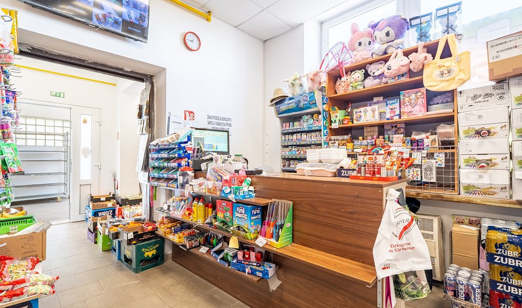 Prodej obchodních prostor 186 m², Lobodice – náhled fotky 8