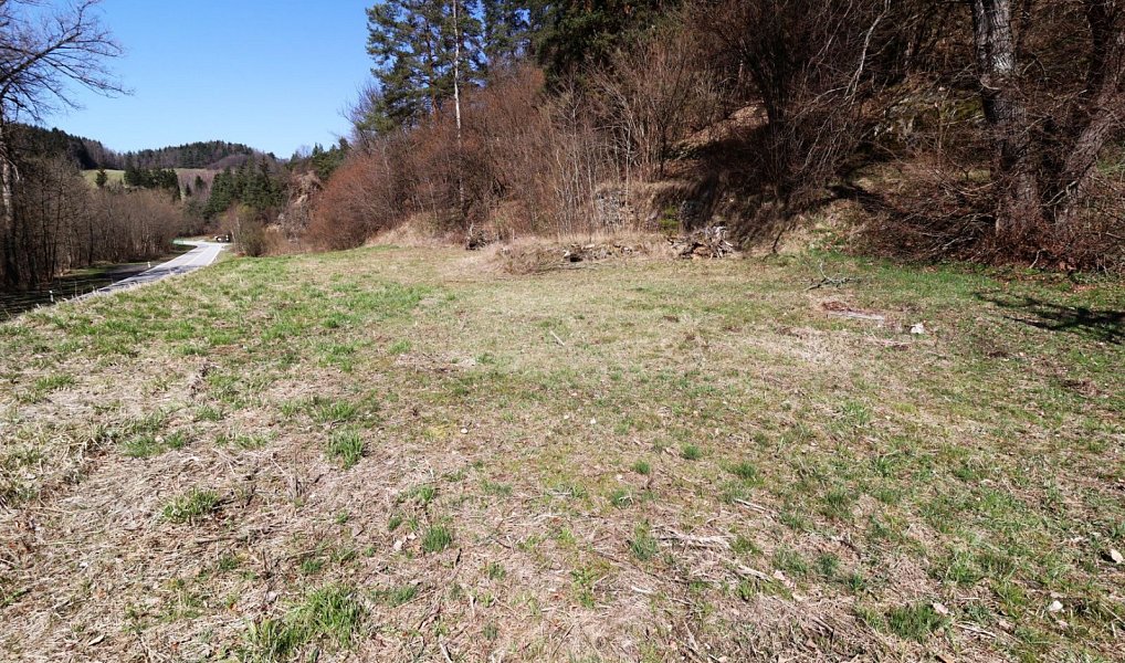 Prodej stavebního pozemku 2 063 m², Dlouhá Ves – náhled fotky 11
