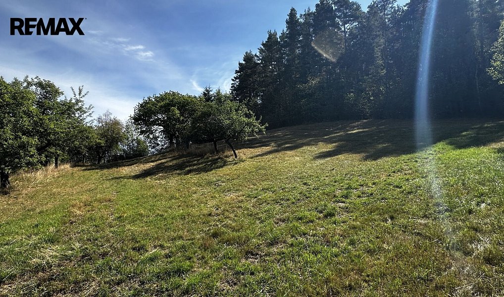 Prodej stavebního pozemku 9 219 m², Nezdice na Šumavě – náhled fotky 4
