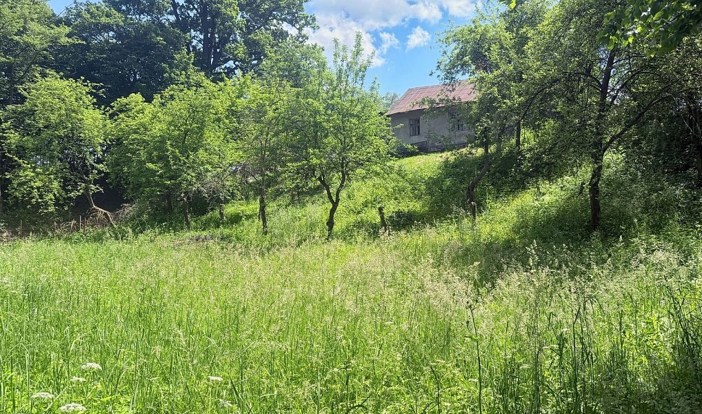 Prodej domu 102 m² s pozemkem 2 222 m², Frýdek-Místek – náhled fotky 7