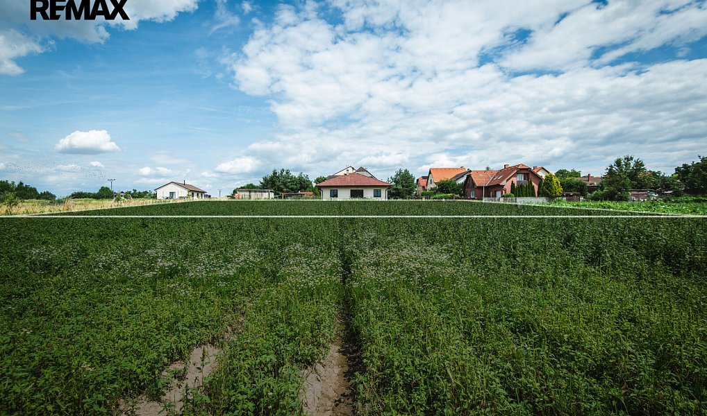 Prodej stavebního pozemku 800 m², Vitice – náhled fotky 6