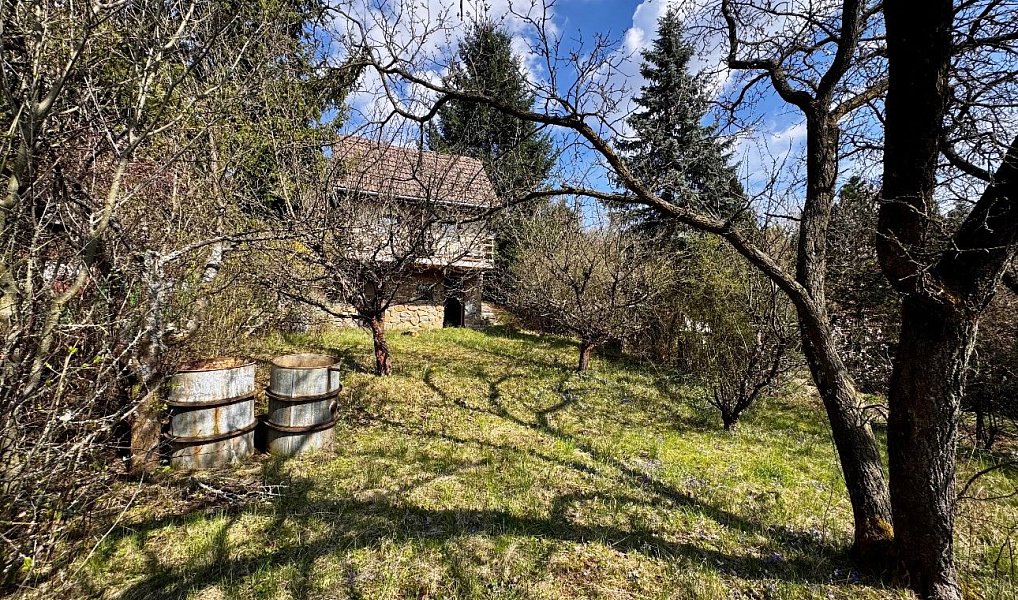Prodej chaty/chalupy 45 m² s pozemkem 420 m², Brno – náhled fotky 16