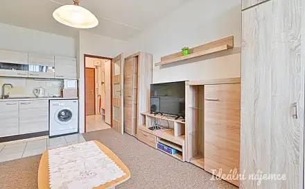 Pronájem bytu 1+kk 24 m², Opálkova, Brno - Bystrc