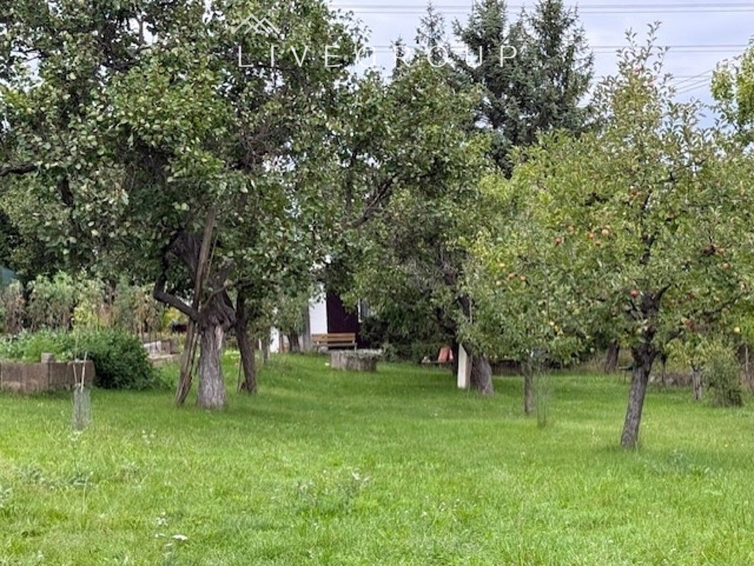 Fotka 15 z 15
