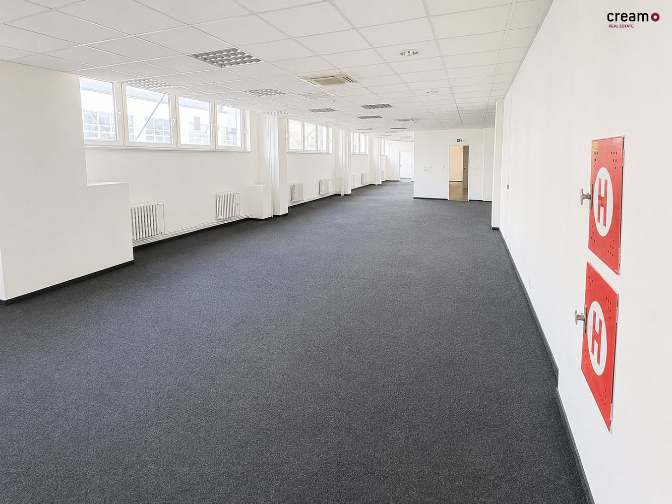 Pronájem kanceláře 263 m² – fotografie 3