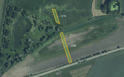 Prodej pole 5 778 m², Starovičky, okres Břeclav