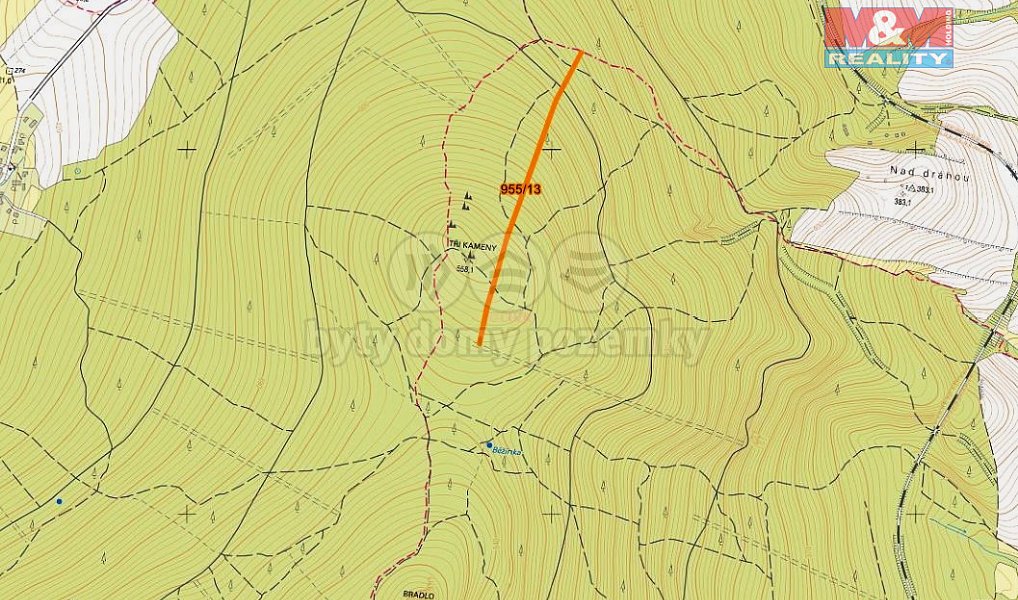 Prodej lesa 5 695 m², Nová Hradečná – náhled fotky 4