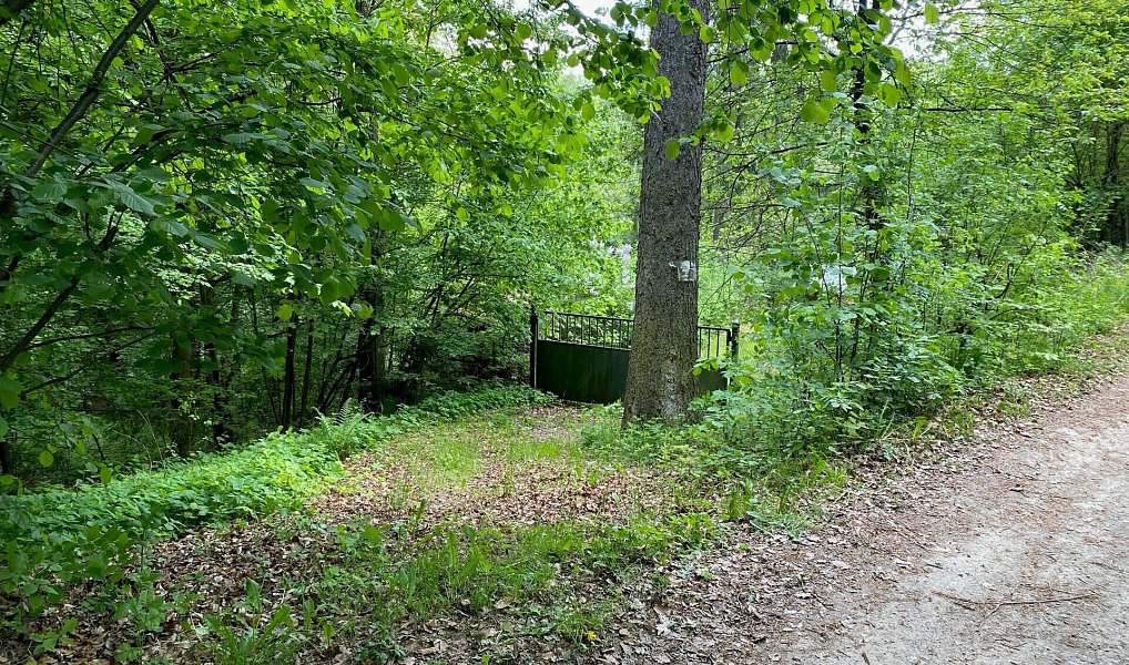 Prodej chaty/chalupy 50 m² s pozemkem 905 m², Hradištko – náhled fotky 8