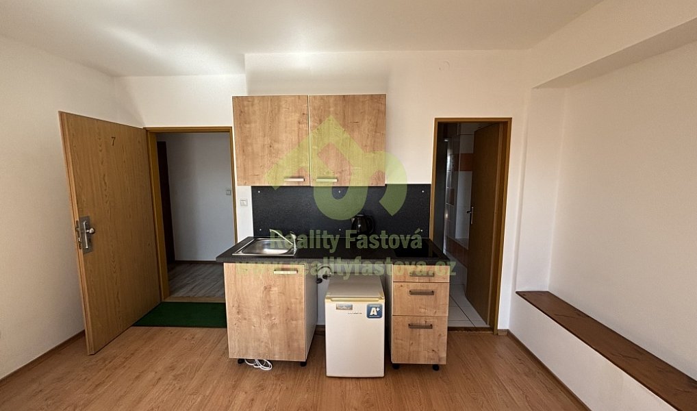 Prodej domu 776 m² s pozemkem 192 m², Plzeň – náhled fotky 19