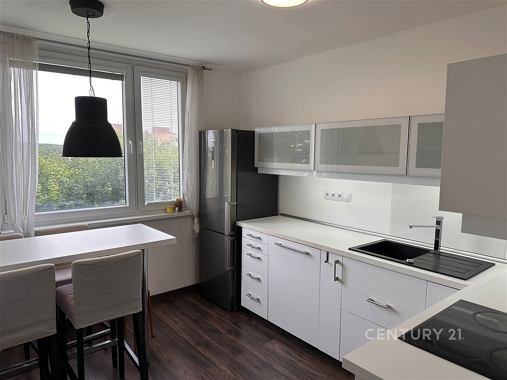 Pronájem bytu 3+1 62 m² — photo 4