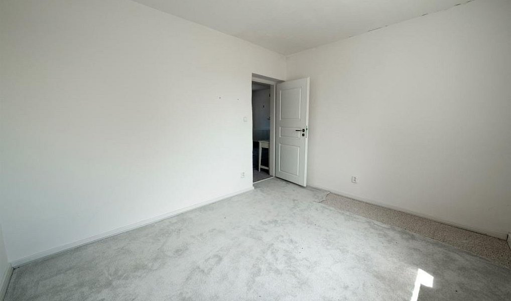 Prodej zemědělského objektu 5 889 m², Vlasatice – náhled fotky 18