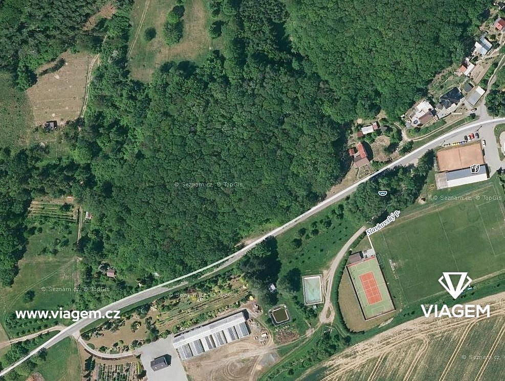 Prodej lesa 3 136 m²