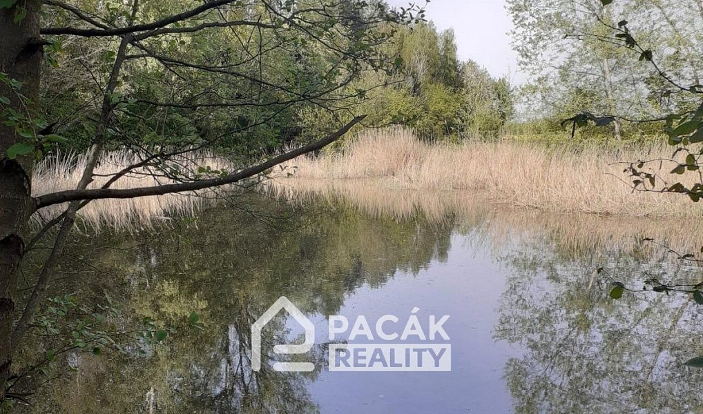 Prodej pole 15 995 m², Kožušany-Tážaly – náhled fotky 13