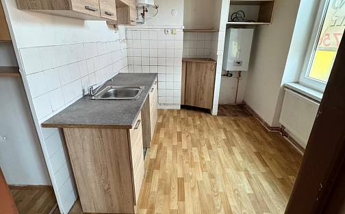 Pronájem bytu 2+1 55 m², Vinohradská, Litvínov - Horní Litvínov, okres Most