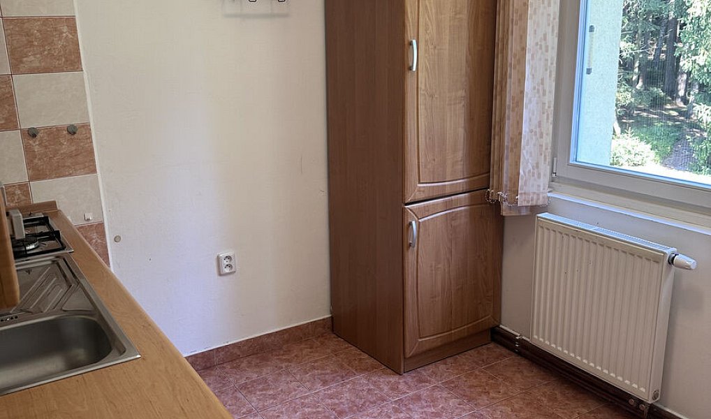 Pronájem bytu 3+1 75 m², Harrachov – náhled fotky 12