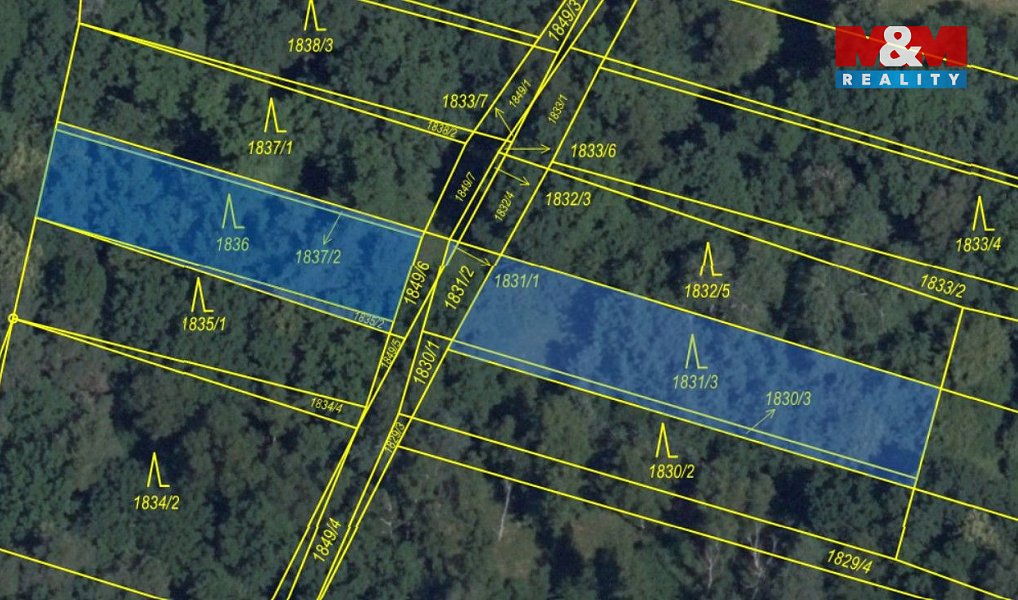 Prodej lesa 4 769 m², Sadská – náhled fotky 9