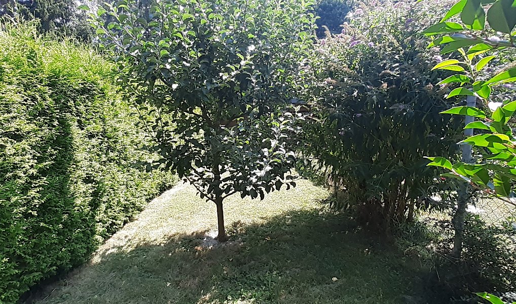 Prodej domu 130 m², Nupaky – náhled fotky 40