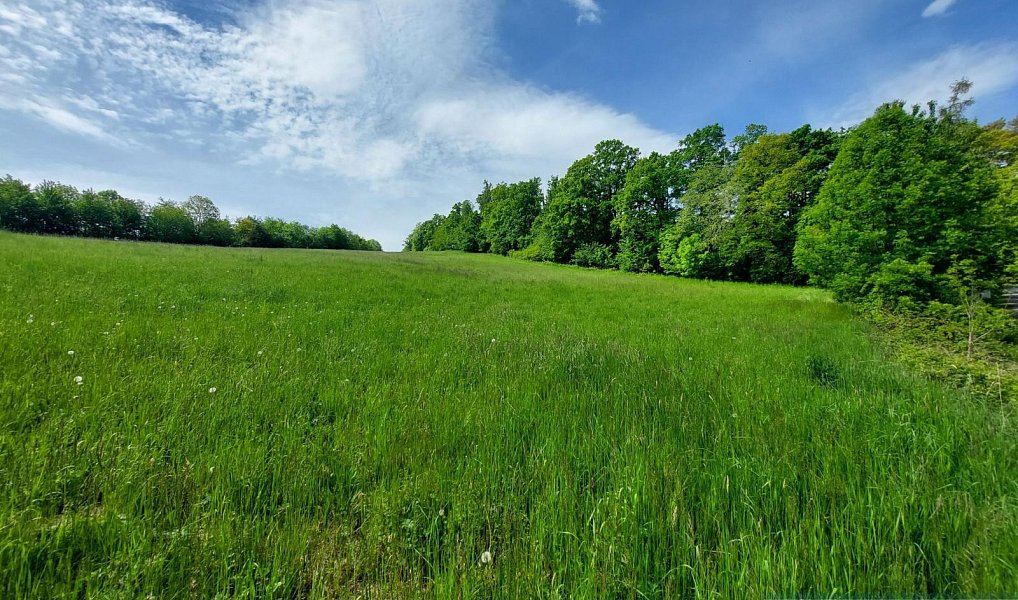 Prodej stavebního pozemku 927 m², Sosnová – náhled fotky 5