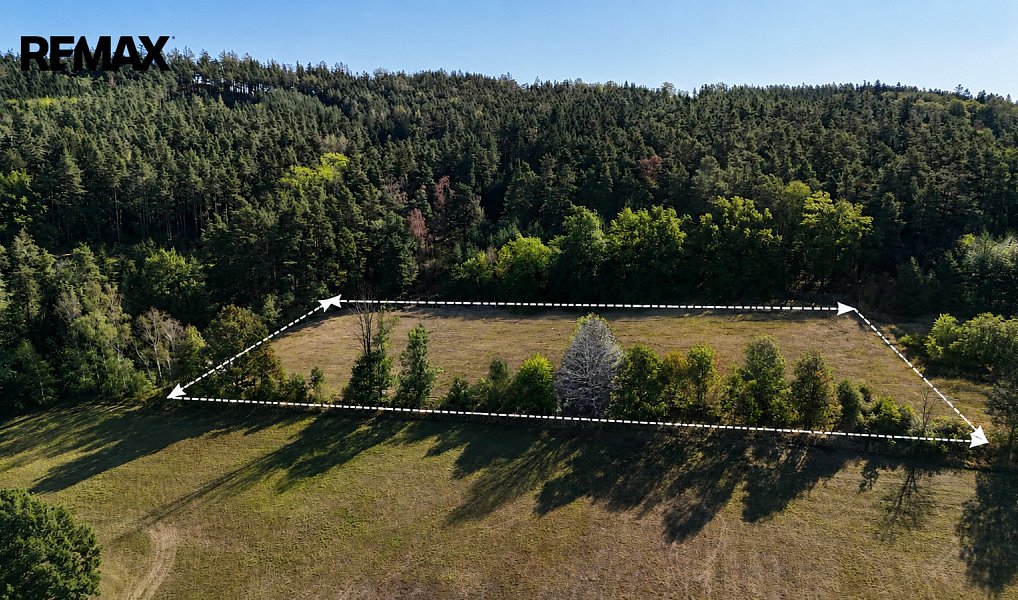 Prodej louky 5 943 m², Mičovice – náhled fotky 2