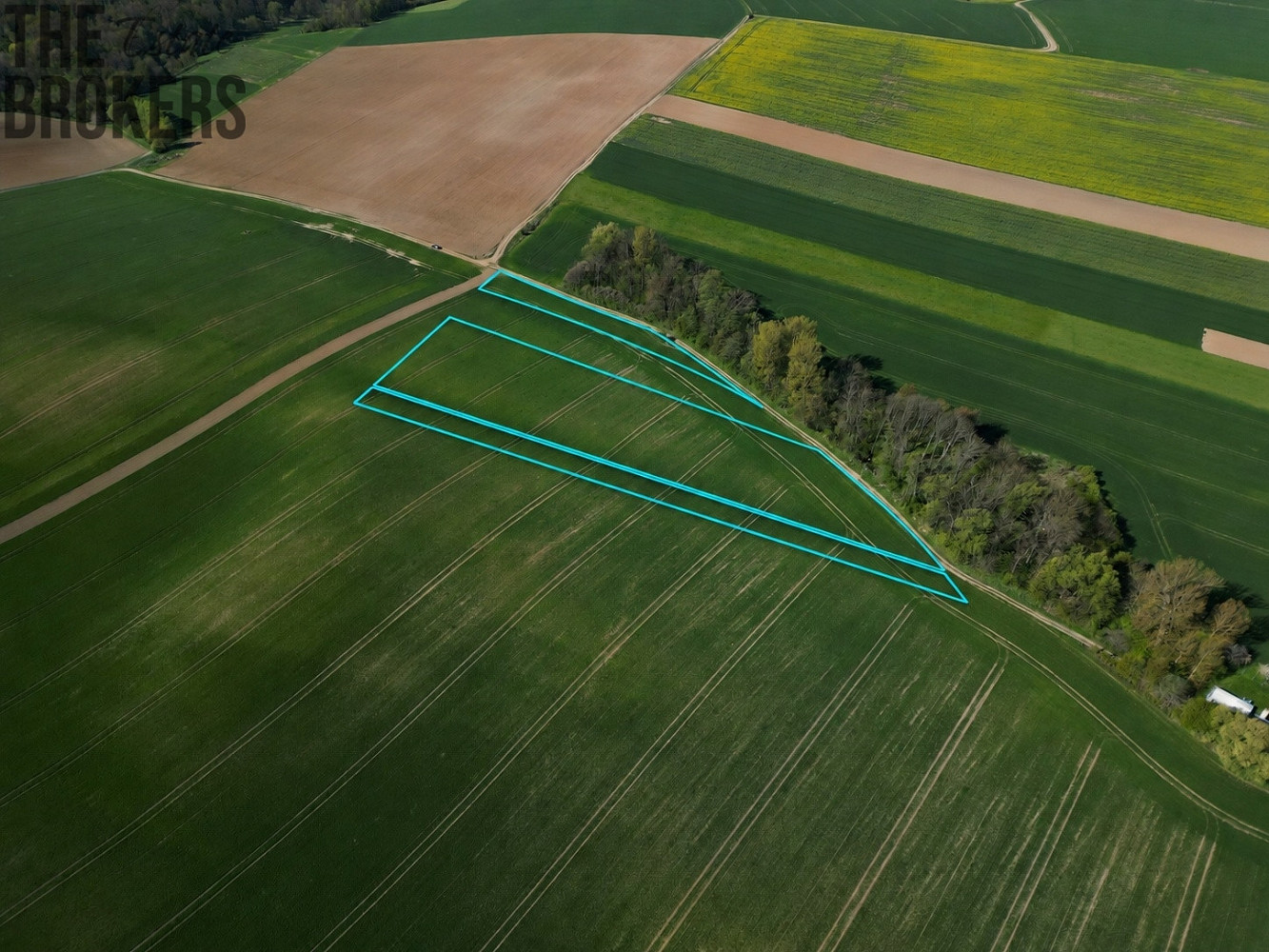 Prodej pole 30 796 m² – fotografie 3
