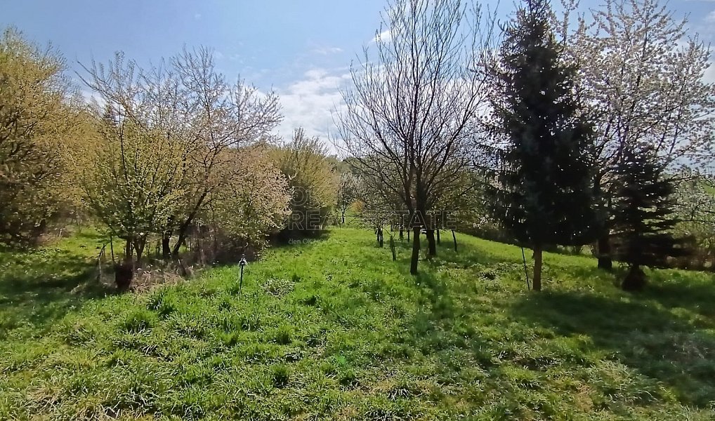 Prodej zahrady 1 872 m², Soběchleby – náhled fotky 8