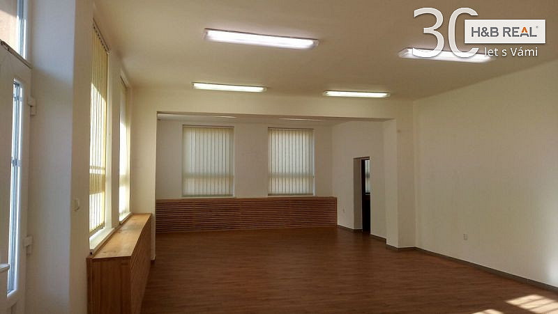 Pronájem obchodních prostor 195 m² – fotografie 3