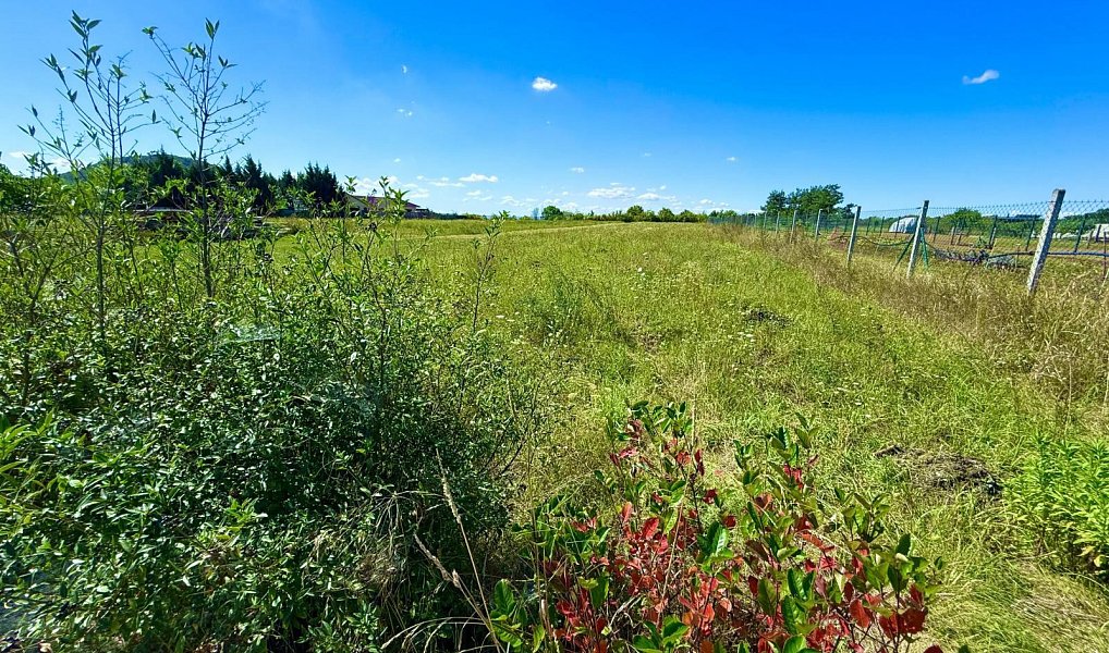 Prodej domu 252 m² s pozemkem 2 927 m², Krabčice – náhled fotky 2