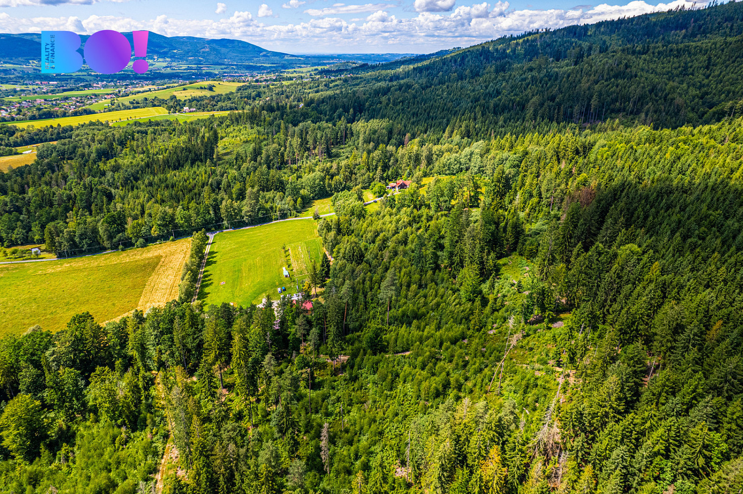 Prodej lesa 12 430 m² – fotografie 5
