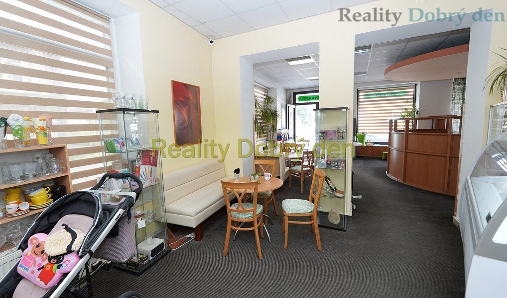 Pronájem obchodních prostor 117 m², Opava – náhled fotky 16