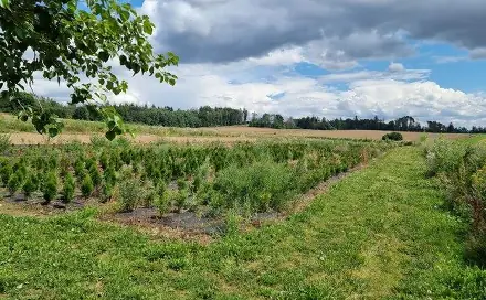 Prodej komerčního pozemku 23 400 m², Štoky, okres Havlíčkův Brod