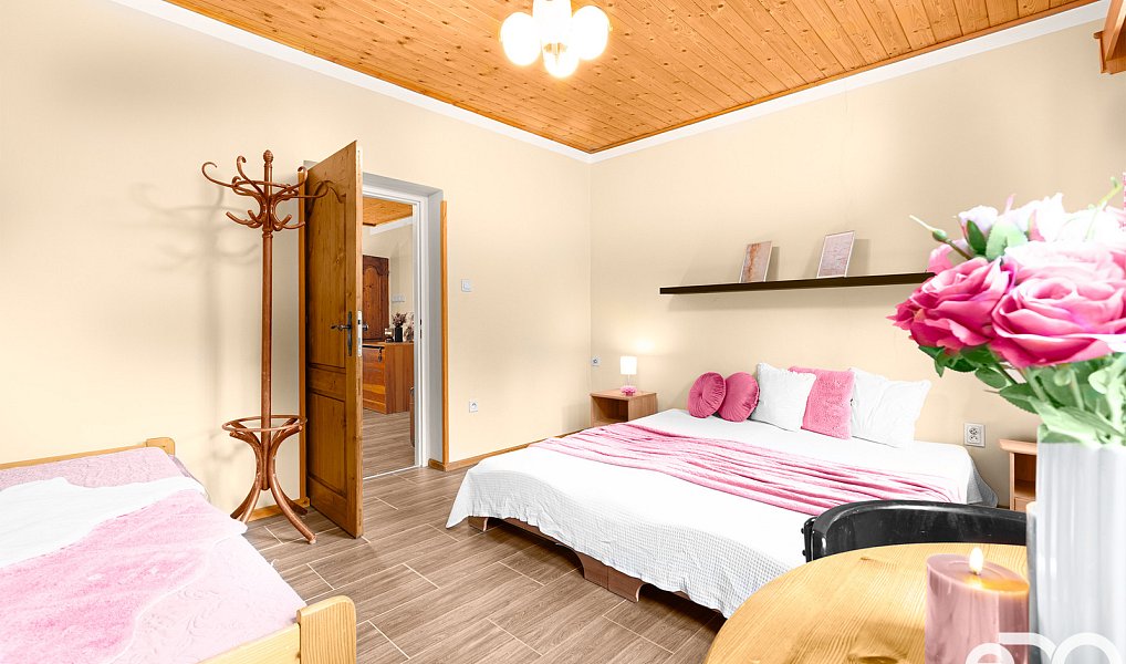 Prodej domu 290 m² s pozemkem 2 010 m², Harrachov – náhled fotky 13