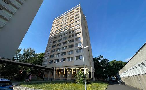 Prodej bytu 1+kk 21 m², Bratislavská, Teplice - Řetenice