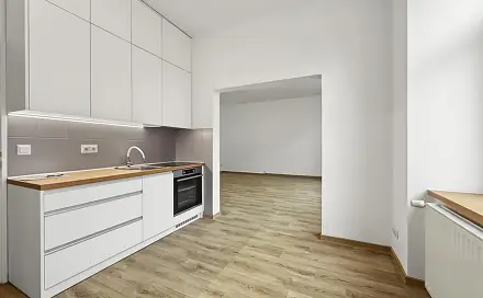 Pronájem bytu 1+1 40 m²